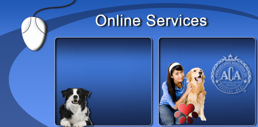 ACA Online Services